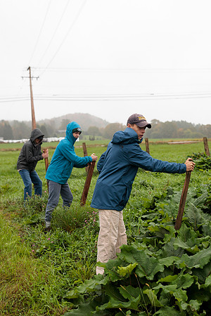 randolphvt1819_trip02_goatfarm_bdf_6224