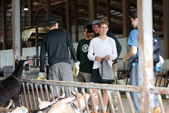 randolphvt1819_trip01_goatfarm_bdf_7076