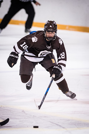 hockey_2018-01-27_wkl_8350