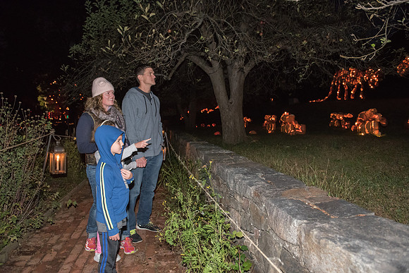pumpkinblaze_hp_8274