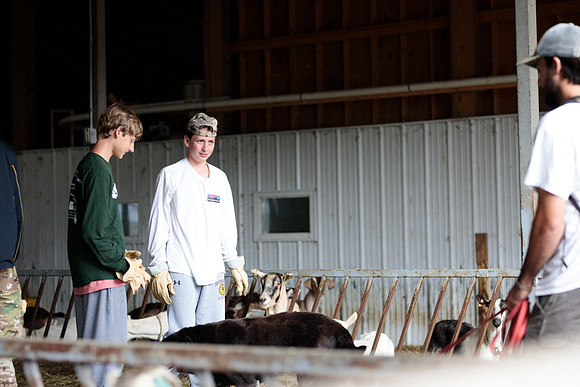 randolphvt1819_trip01_goatfarm_bdf_7074