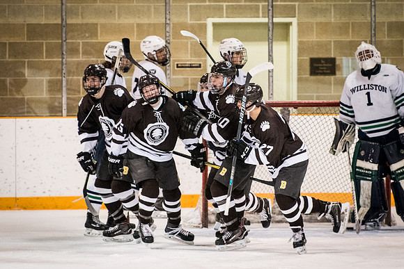 hockey_2018-01-27_wkl_7941