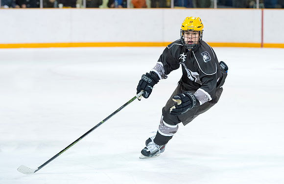 hockey_2016-01-09_dburns_3949