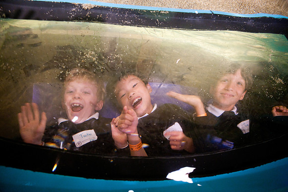 aquarium_ls_mkras_2341