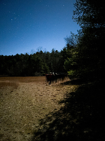 randolphvt2425_trip04-6424_lp_4808