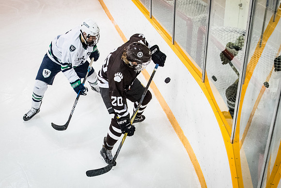 hockey_2018-01-27_wkl_8346