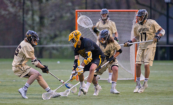 lacrosse_westminster_dburns_3196