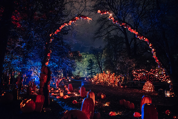 pumpkinblaze17_hp_3785
