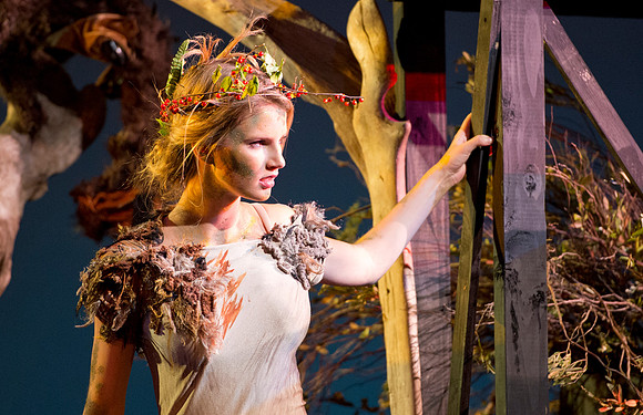 usfallplay_midsummersnight_dburns_3672