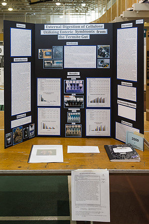 sciencefair14qu_hl_8688