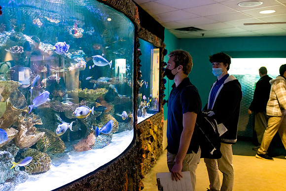 aquarium_us_ah_0001