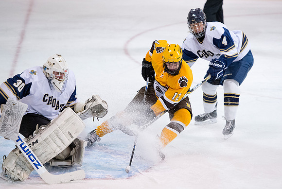 hockey_2015-12-04_db_9334