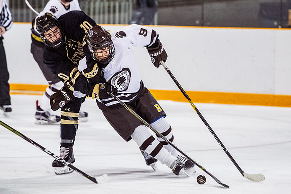 hockey_2018-12-08_dburns_2935