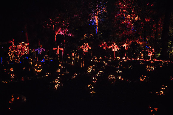 pumpkinblaze17_hp_3479