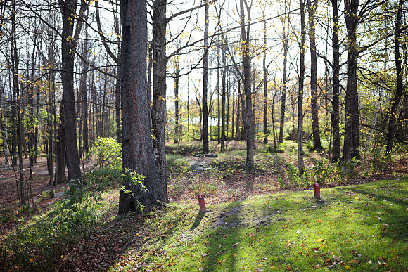 randolphvt1819_trip03_discgolf_bdf_0939