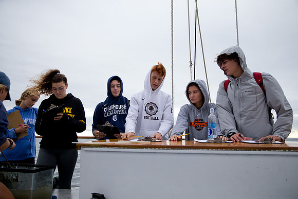 marinebio_soundwater_us_mkras_0072