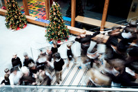 treelighting19_ls_jk_1383